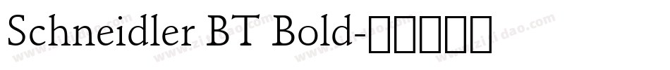 Schneidler BT Bold字体转换